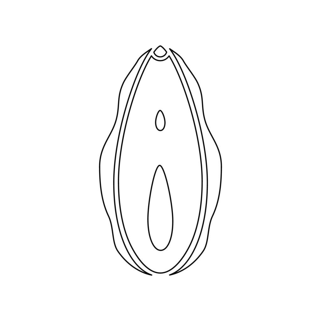 hymenoplasty in indore, vaginoplasty in indore, cosmetic surgery in indore