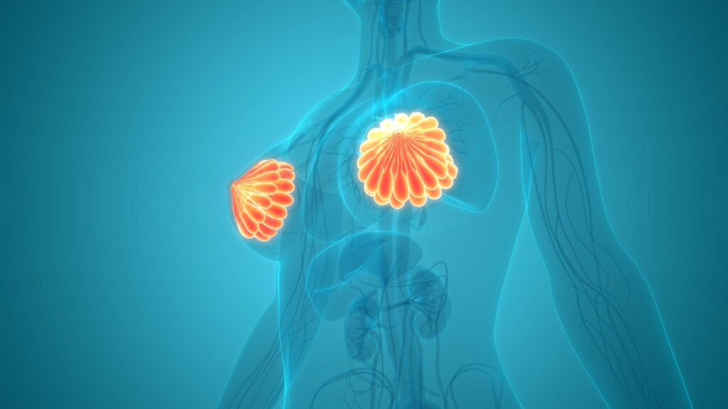 nipple correection in indore, breast doctor in indore, best cosmetic surgeon in indore